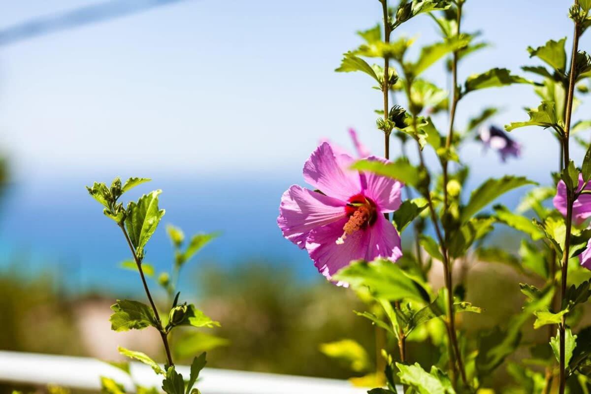 Villa Aigli Fully Equipped Getaway - Seaview Lux Retreat Kalamata Esterno foto